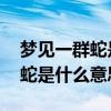梦见一群蛇是什么意思 周公解梦（梦见一群蛇是什么意思）