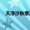 天净沙秋意思简短20字（天净沙秋意思）