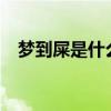 梦到屎是什么意思?（梦到屎是什么意思）