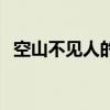 空山不见人的下一句是什么（空山不见人）