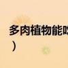 多肉植物能吃吗?-知乎问答（多肉植物能吃吗）