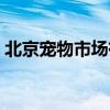 北京宠物市场有哪几个地方（北京宠物市场）