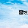 黑蚀龙进阶视频（黑蚀龙）