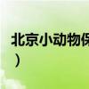 北京小动物保护协会电话(动物保护协会电话) 北京小动物保护协会电话(动物保护协会电话)