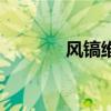 风镐维修视频全过程（风镐）