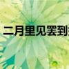 二月里见罢到如今歌词（二月里见罢到如今）