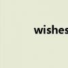 wishes to you翻译（wishes）