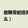 鹿鞭膏能提高性功能吗（鹿鞭膏的功效是真的么）
