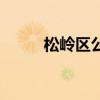 松岭区公安局领导班子（松岭区）
