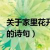 关于家里花开的漂亮的句子(表达家里花开了的诗句) 关于家里花开的漂亮的句子(表达家里花开了的诗句)