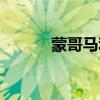 蒙哥马利结节照片（蒙哥马利）