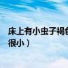 床上有小虫子褐色很小是什么虫子会跳（床上有小虫子褐色很小）