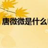 唐微微是什么电视剧的人物（唐微微孙红雷）