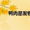 鸭肉是发物吗能吃吗（鸭肉是发物吗）