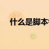 什么是脚本错误报告(什么是脚本错误) 什么是脚本错误报告(什么是脚本错误)