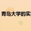 青岛大学的实力怎么样（青岛大学怎么样啊）