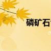 磷矿石含有哪些元素（磷矿石）