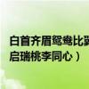 白首齐眉鸳鸯比翼 青阳启瑞桃李同（白首齐眉鸳鸯比翼青阳启瑞桃李同心）