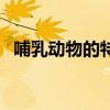 哺乳动物的特征是什么（哺乳动物的特征）