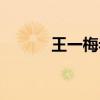 王一梅老公图片（王一梅老公）