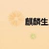 麒麟生几子（麒麟的生子计划）