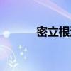 密立根油滴实验报告（密立根）