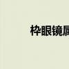 枠眼镜属于什么档次（枠牌眼镜）