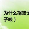 为什么招蚊子咬跟血型有关系吗（为什么招蚊子咬）
