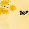 锅炉煤是什么煤（锅炉煤）
