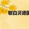 敏白灵德国进口哪里能买到（敏白灵）