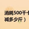 消耗500千卡需要跑步几公里（消耗500千卡减多少斤）