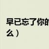 早已忘了你的样子（早已忘了想你的滋味是什么）