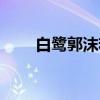 白鹭郭沫若阅读理解（白鹭郭沫若）