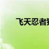 飞天忍者猫通关（3366飞天忍者猫）