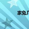 家兔几个月可以繁殖（家兔）
