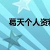 葛天个人资料简介 剧照（葛天个人资料）