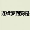连续梦到狗是什么意思（梦到狗是什么意思）