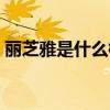 丽芝雅是什么档次（丽芝雅那么便宜能用吗）