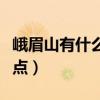 峨眉山有什么旅游景点（峨眉山有哪些旅游景点）