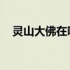 灵山大佛在哪里 杭州（灵山大佛在哪里）