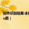 控件识别结果:未检测到控件（控件没有在您的机器上检测到u盾）