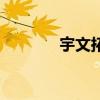 宇文拓与小雪（宇文拓小雪）