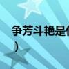 争芳斗艳是什么意思?（争芳斗艳是什么意思）