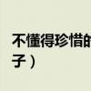 不懂得珍惜的句子经典语录(不懂得珍惜的句子) 不懂得珍惜的句子经典语录(不懂得珍惜的句子)