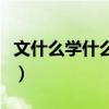 文什么学什么什么的成语（文什么学什么成语）