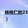 核桃仁的23种吃法图片(核桃仁的23种吃法) 核桃仁的23种吃法图片(核桃仁的23种吃法)