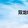 双龙吸水 股票（双龙吸水）