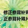 修正参茸补肾片和一正参茸补肾片哪个好（修正参茸补肾片）
