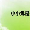 小小兔是月野兔的女儿吗（小小兔）