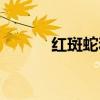 红斑蛇和赤链蛇分别（红斑蛇）